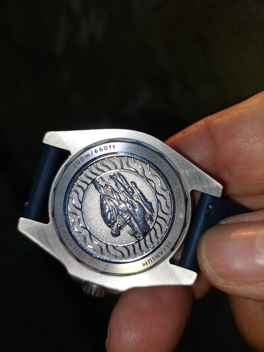 Customer photo review of SEATURTLE.OCEAN(TITANIUM) - Automatic Titanium Diver Watch | Sea Blue