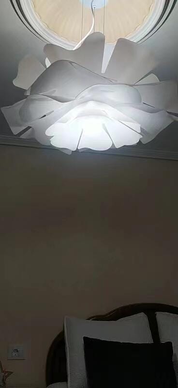 Customer photo review of WOMO Flower Pendant Light-WM2054