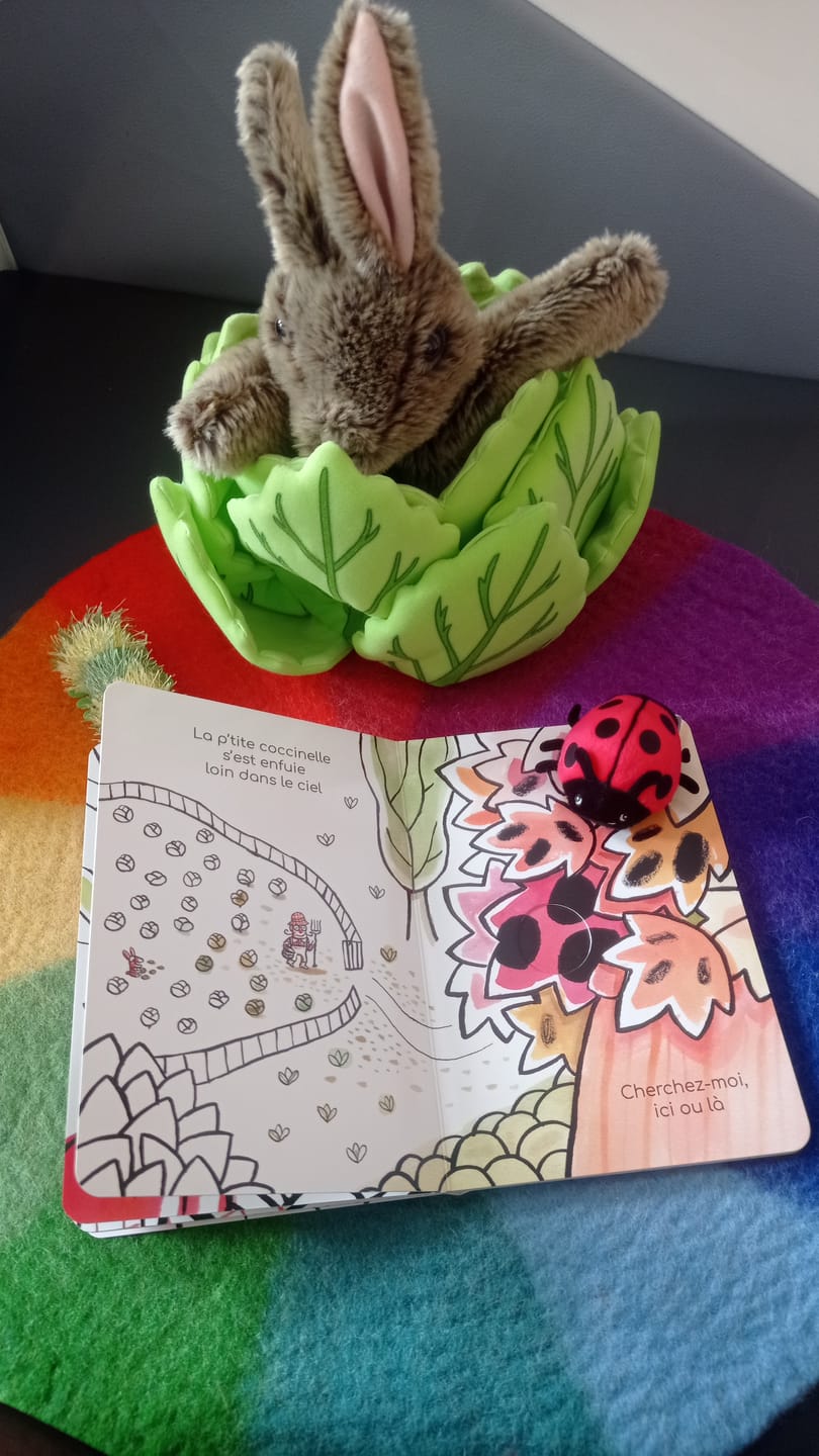 Customer photo review of Lapin dans une laitue avec 3 mini bêtes Marionnette