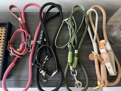 Customer photo review of 4ft Rope Lead - Winnie The Pooh - Beige and Brown