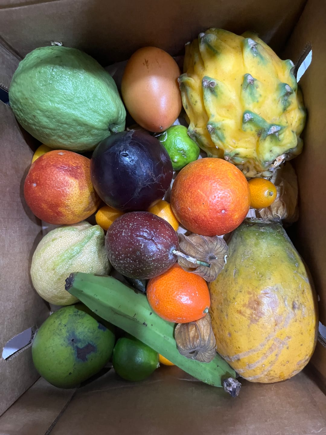Customer photo review of Florida Residents Club Box