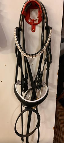 Customer photo review of Stirnriemen Big Crystal