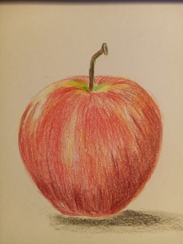 Customer photo review of 120 Teiliges Castle Gold Buntstift Set Im Reißverschlussetui