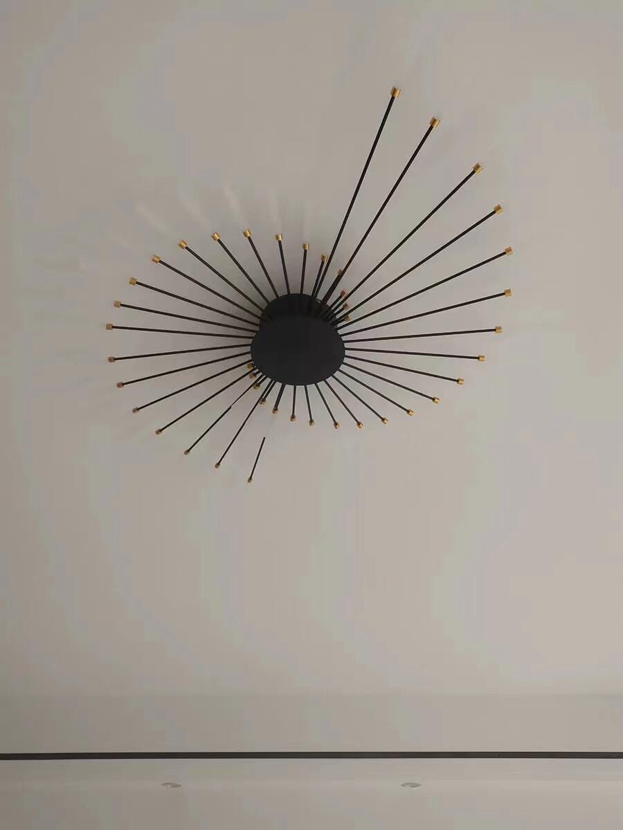 Customer photo review of WOMO Firework Starburst Flush Mount Ceiling Light-WM1000