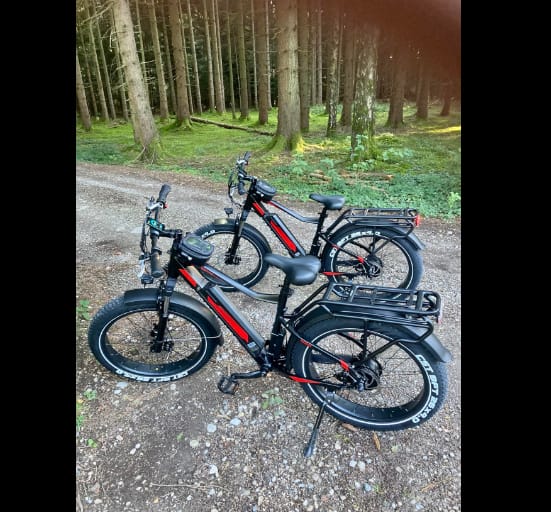 Customer photo review of JOBOBIKE Robin