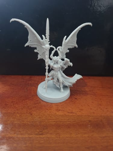 Customer photo review of Anycubic Photon Mono M5s