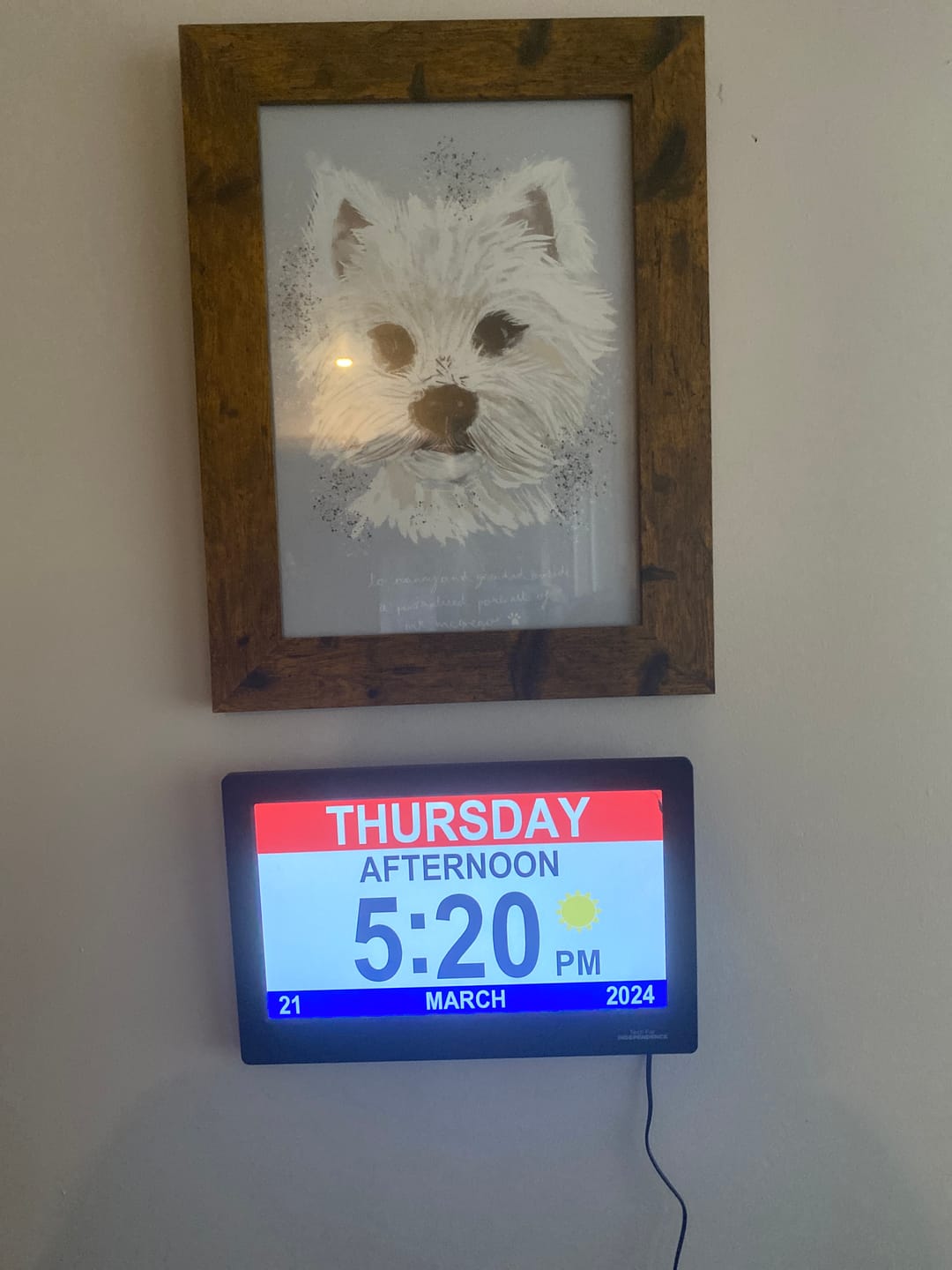 Customer photo review of XL 10" Reminder Clock