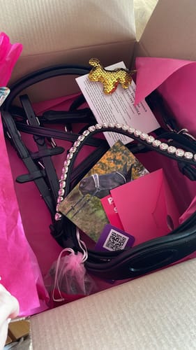 Customer photo review of Harmony Bridle - anatomische gebisslose Trense mit Crystal Stirnband