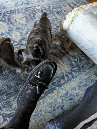 Customer photo review of La Tribe | Isla Tassel Loafer - Black