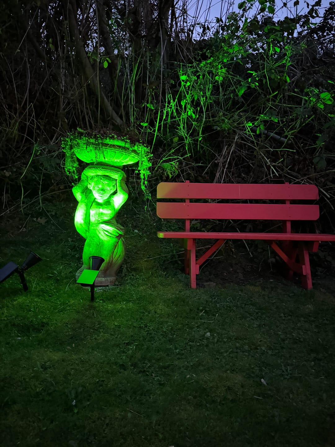 Customer photo review of TSUN 4/7 LEDs Outdoor Solar Spot Lights