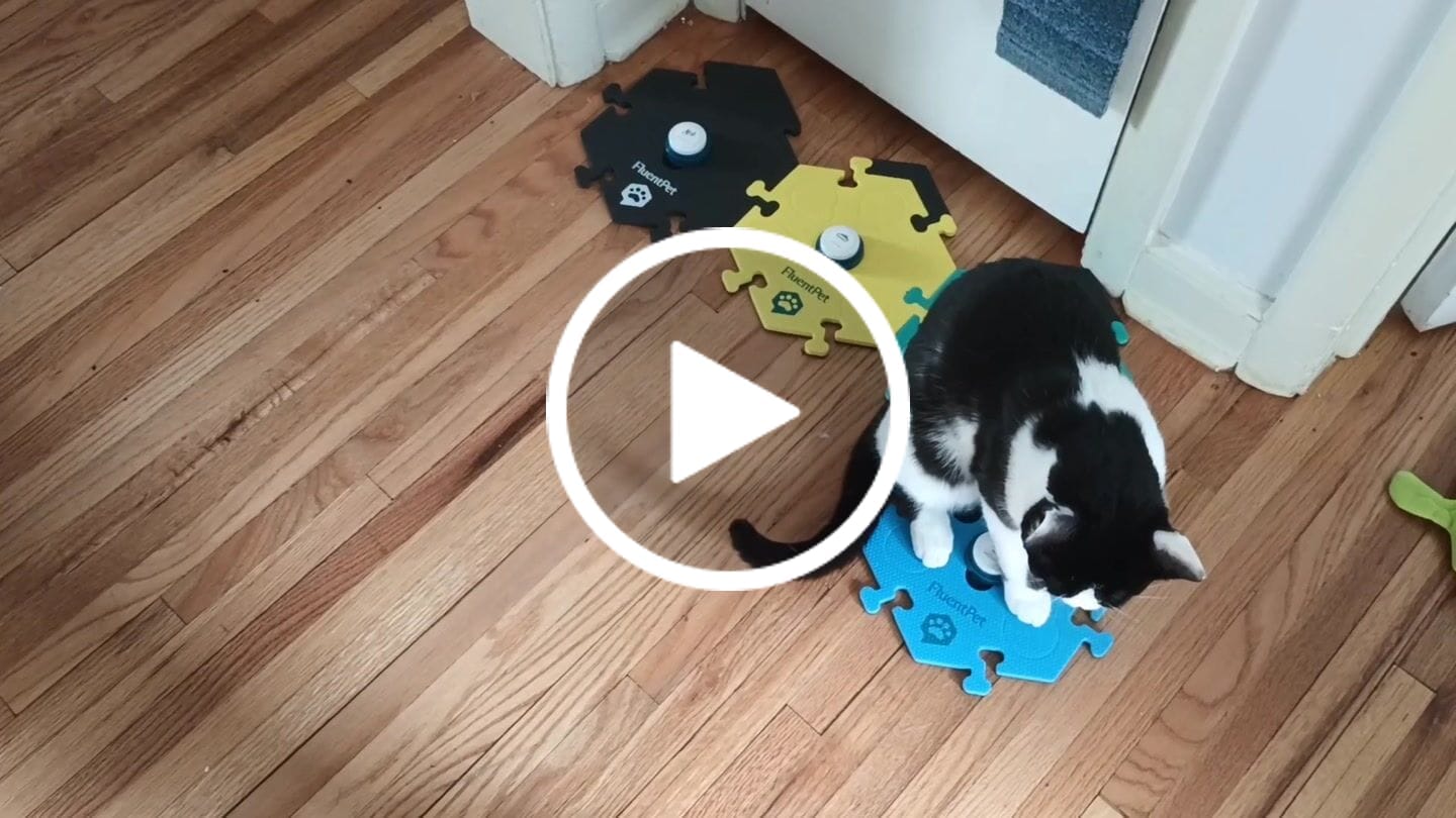 Customer video review of Neutral HexTile