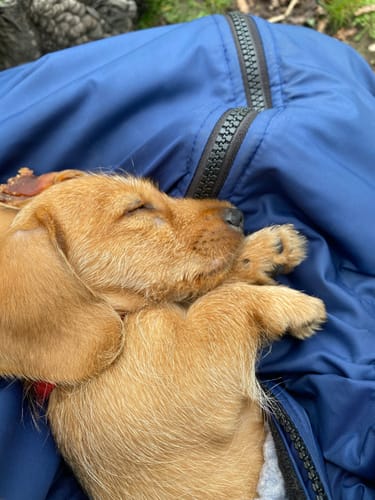 Customer photo review of Pure NMN Supplement