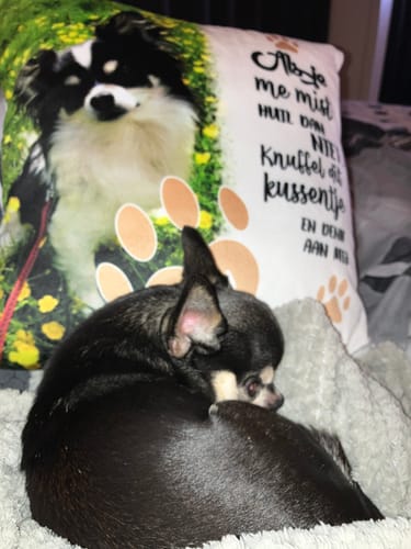 Customer photo review of Als je me mist - Gepersonaliseerd kussen