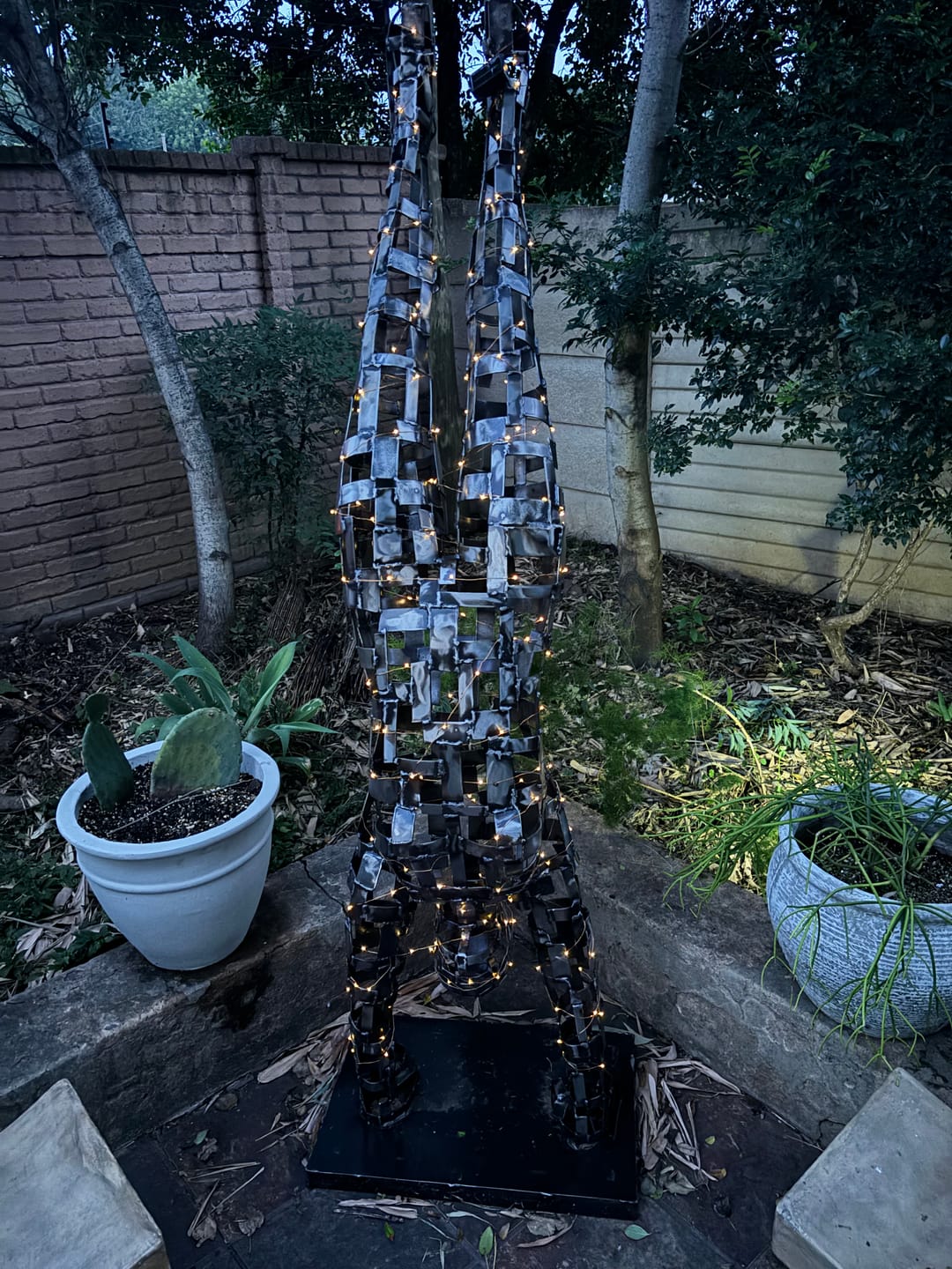 Customer photo review of Litehouse Solar LED Copper Wire Fairy Lights Warm White