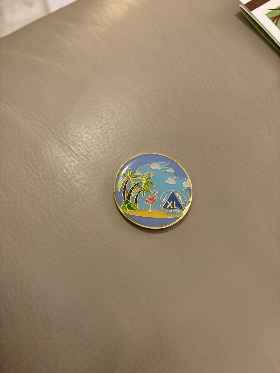 Customer photo review of 1 to 60 Year Beach Themed Specialty AA Recovery Medallion - Tri-Plated Chip/Coin