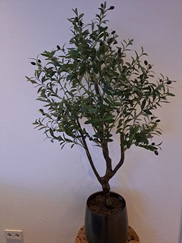 Customer photo review of Kunst Olijfboom 150cm