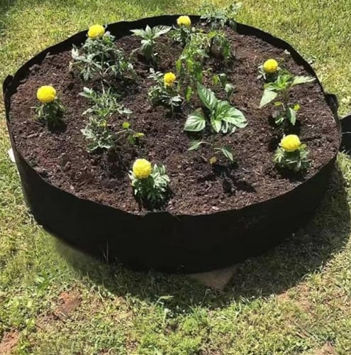 Customer photo review of EasyGarden® | Aerated geotextile gardening bag