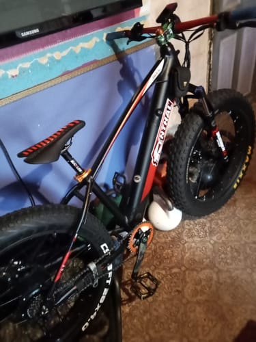Customer photo review of Electric Fat Tire Bike Tankroll