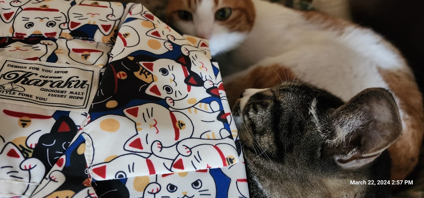 Customer photo review of 江戸時代「招き猫」総柄アロハシャツ