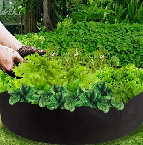 Customer photo review of EasyGarden® | Aerated geotextile gardening bag