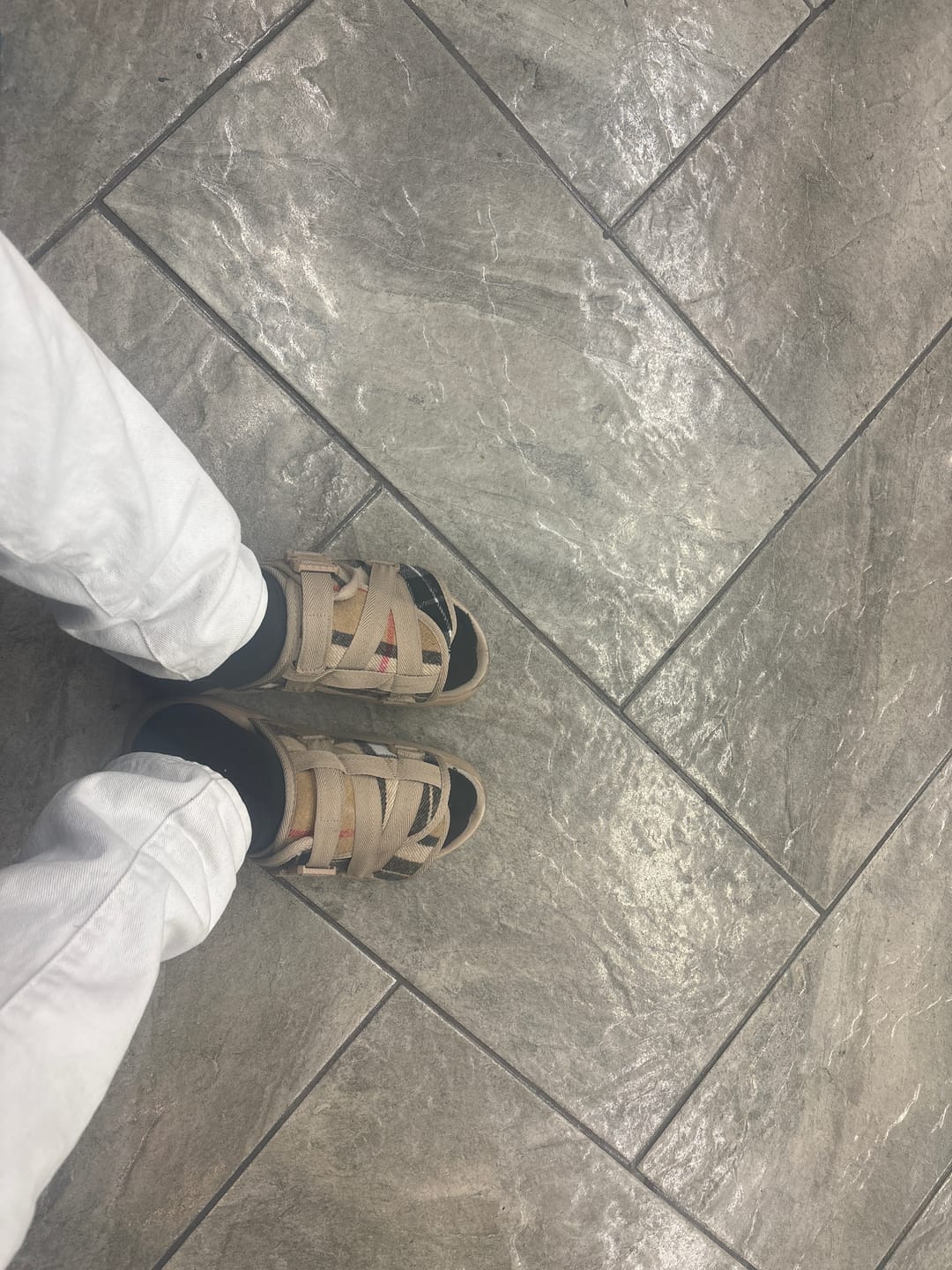 Customer photo review of Plaid Dracos
