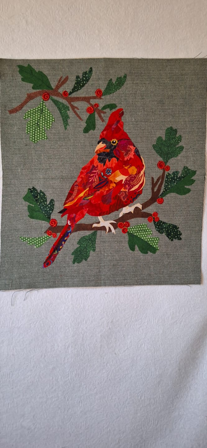 Customer photo review of Winter Cardinal Kit