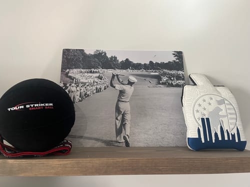 Customer photo review of Smart Ball 2-Pack