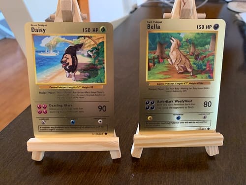 Customer photo review of Pokepet