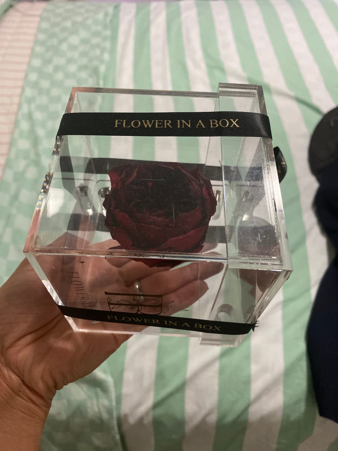 Customer photo review of Petite Acrylic Everlasting Peonies
