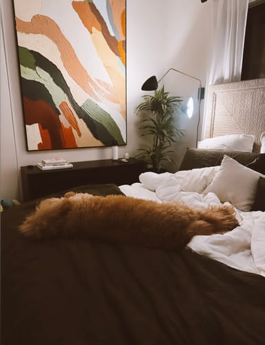Customer review photo for Colorful Painting #CA069