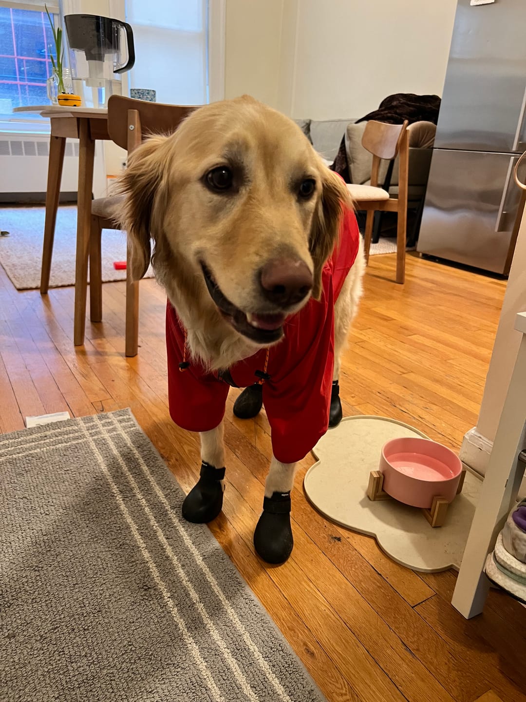 Customer photo review of Nylon Rainbreaker