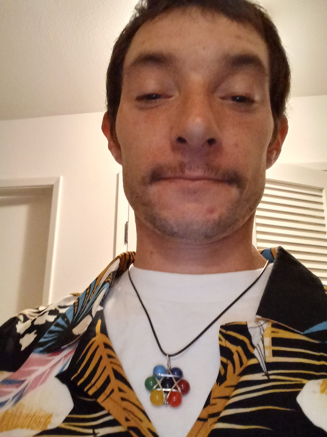 Customer photo review of Natural Stone 7 Chakra Necklace