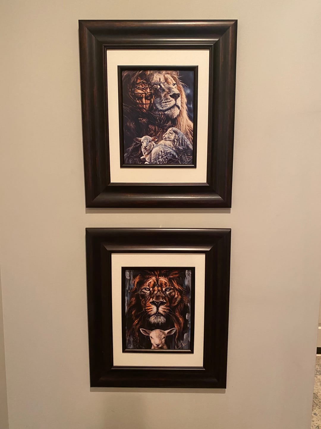 Customer photo review of The Lion and Lamb Passover