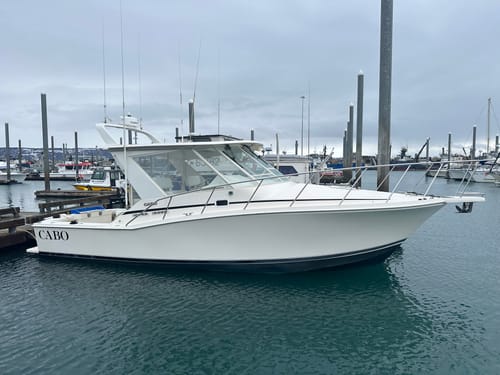 Customer photo review of Custom Digital Boat Artwork