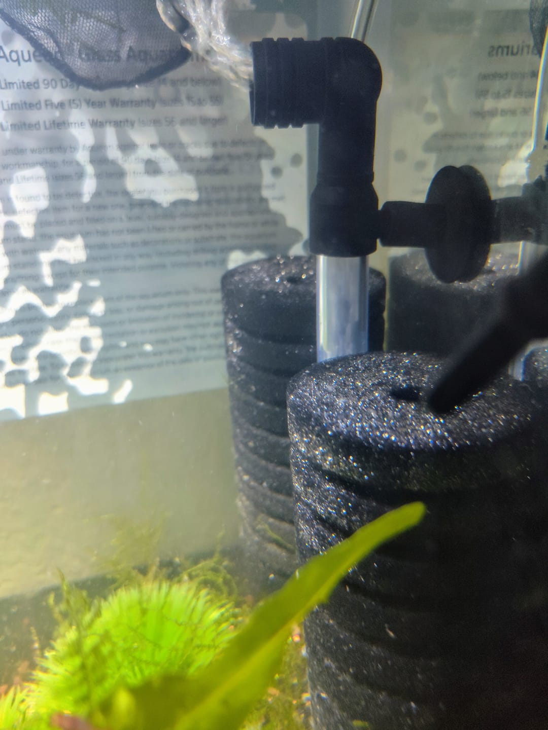 Customer photo review of Sponge Filter