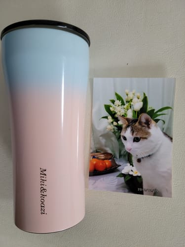 Customer photo review of スカイブラッシュ