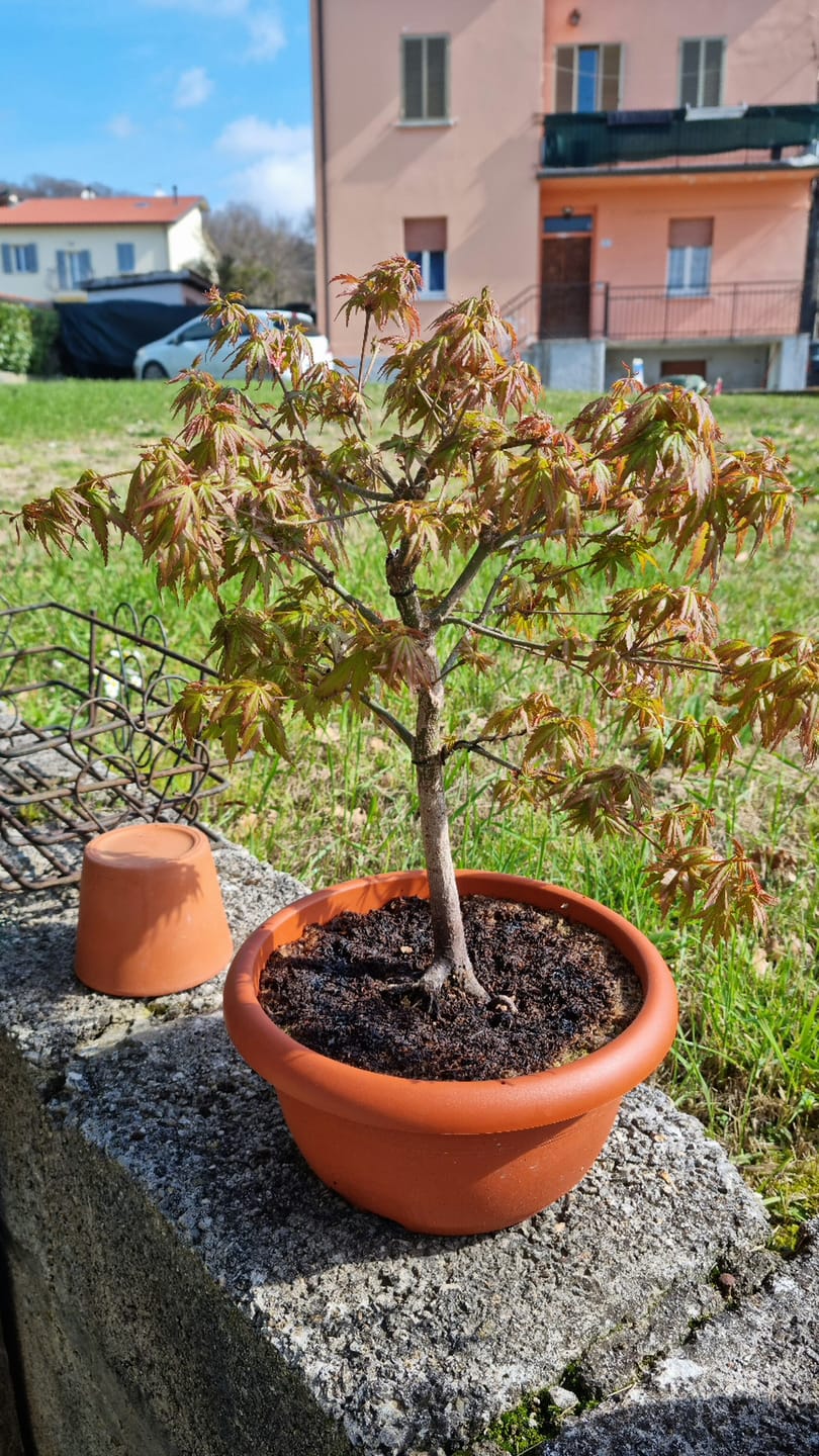 Customer photo review of TOTAL FORCE CB® (AFIDI, COCCINIGLIA, RAGNETTO ROSSO, MAL BIANCO)