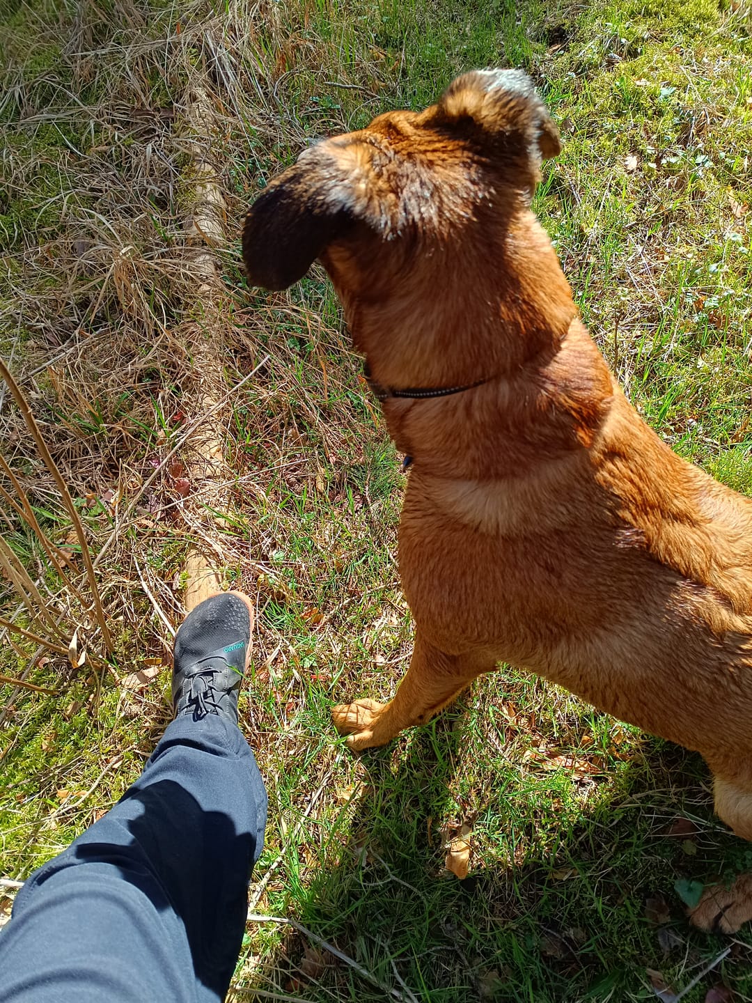 Customer photo review of Barfußschuhe Chaser Vitality III
