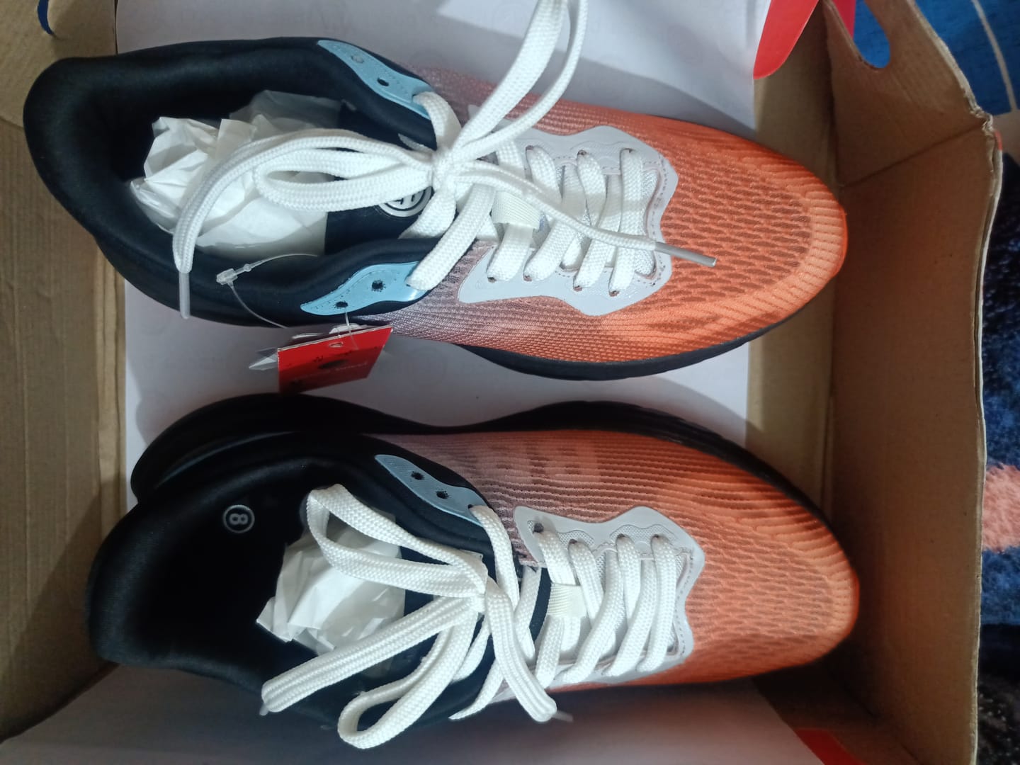 Customer photo review of Bacca Bucci Flux Pioneers