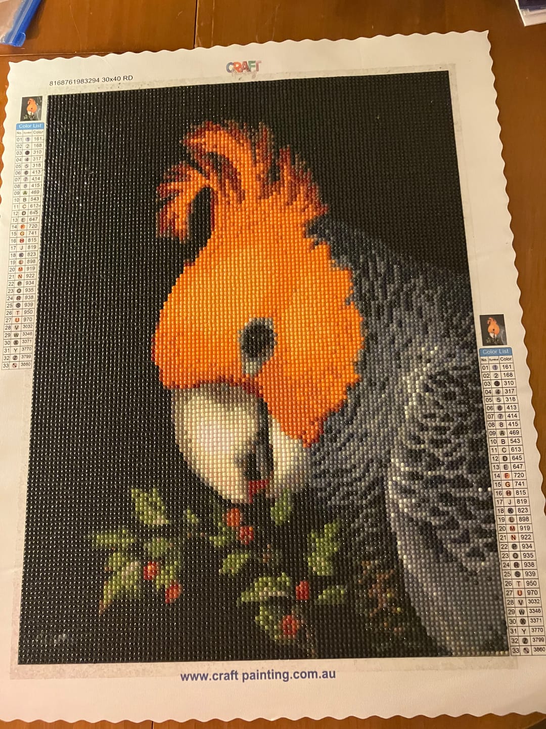 Customer photo review of Gang Gang - Full Drill Diamond Painting Kit