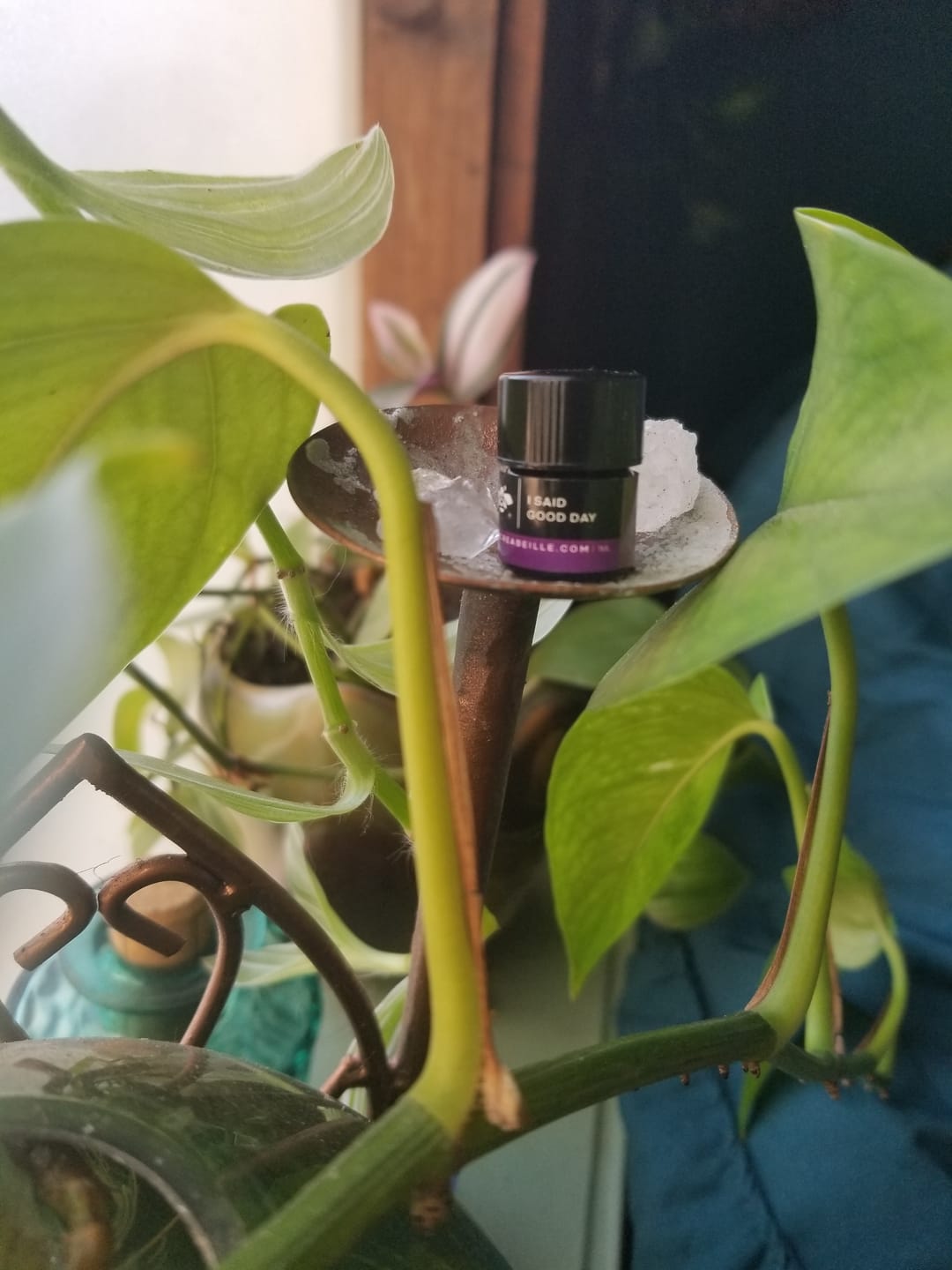 Customer photo review of I Said Good Day