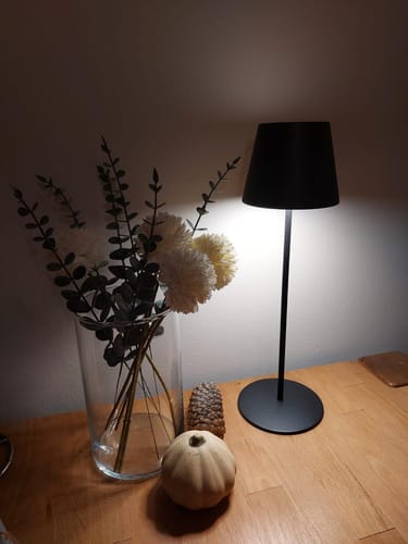 Customer photo review of AURALAMP ULTIMATE™