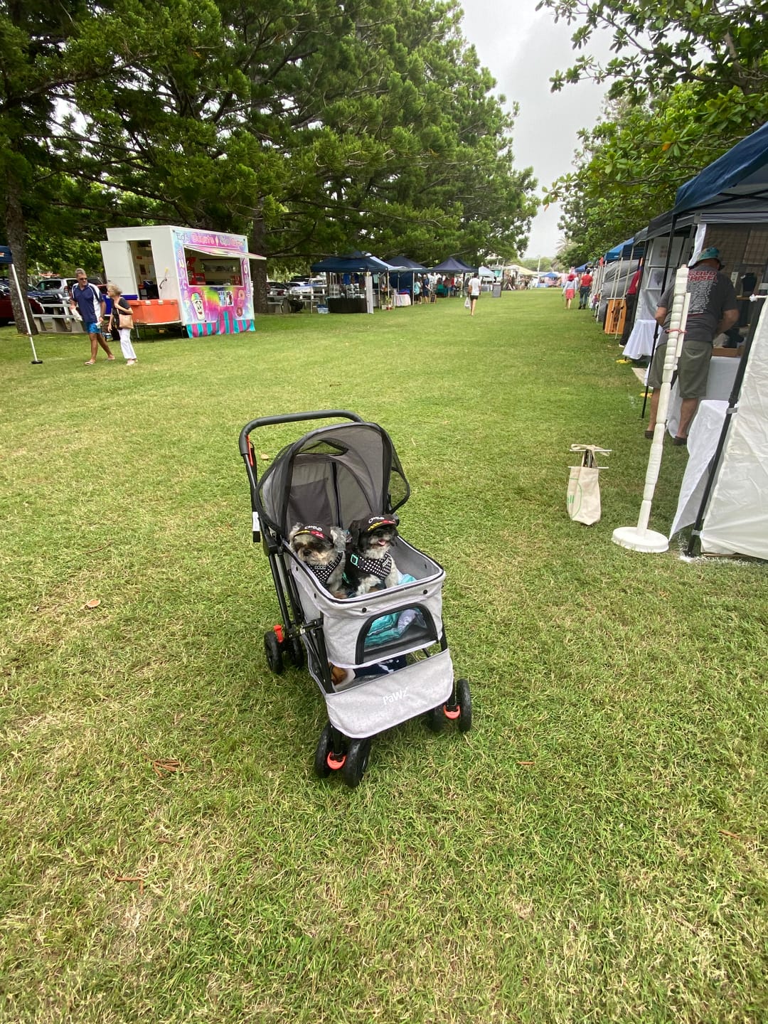 Customer photo review of PaWz Pet Dog Stroller Pram 4 Wheels