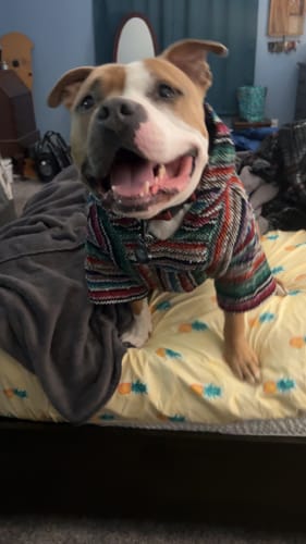 Customer photo review of Playa Poncho - Surprise Color