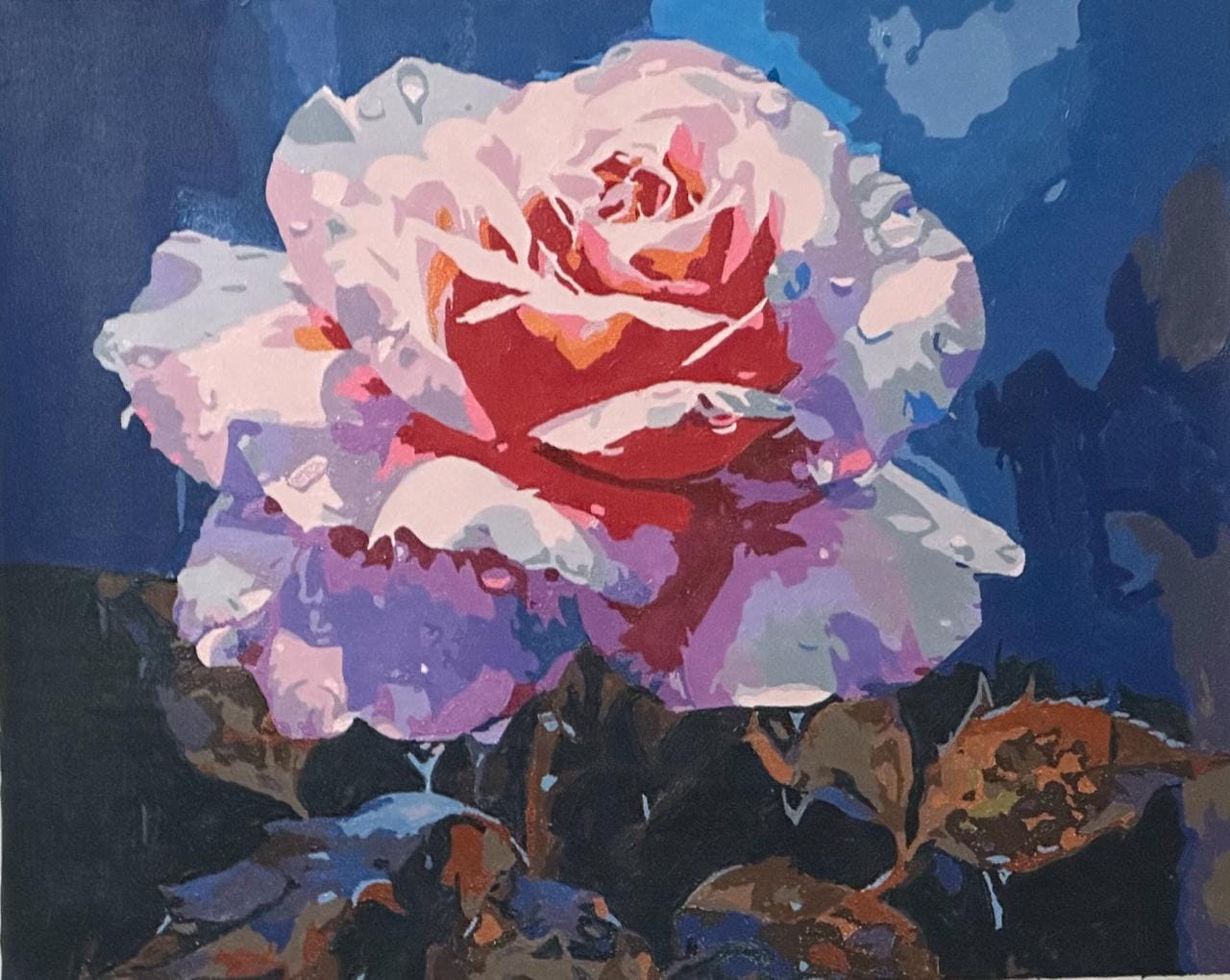 Customer photo review of Rosy Dawn