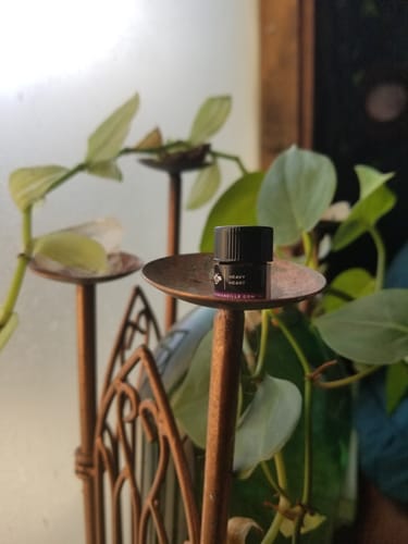 Customer photo review of Chapter 5: Heavy Heart