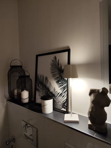 Customer photo review of AURALAMP Ultimate™