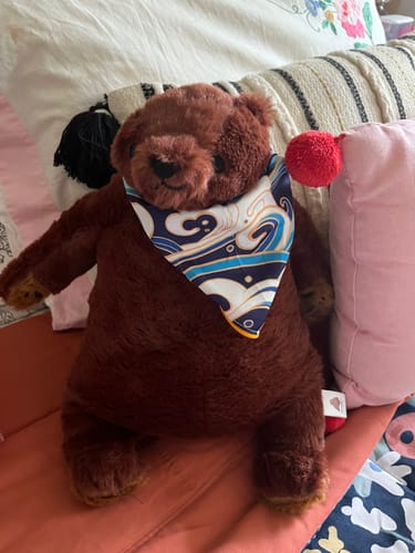 Customer photo review of SKOGGY BEAR