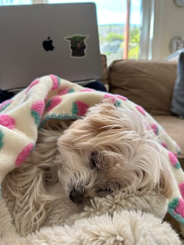 Customer photo review of Strawberry Puff Blanket