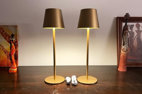 Customer photo review of AURALAMP ULTIMATE™